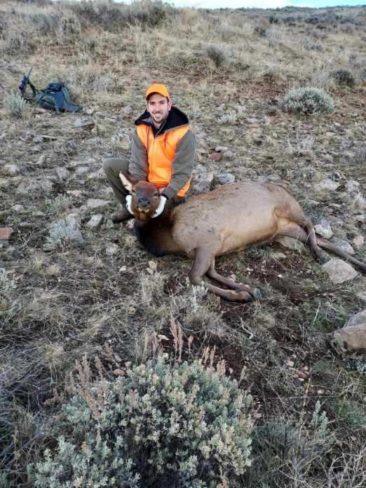 Wyoming cow elk hunts