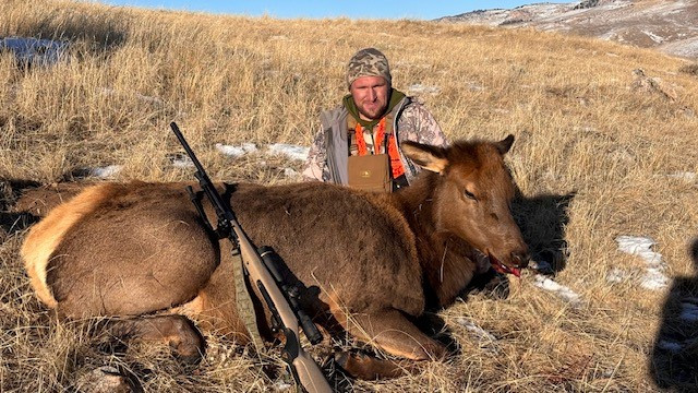 Cheaper cow elk licenses than CO