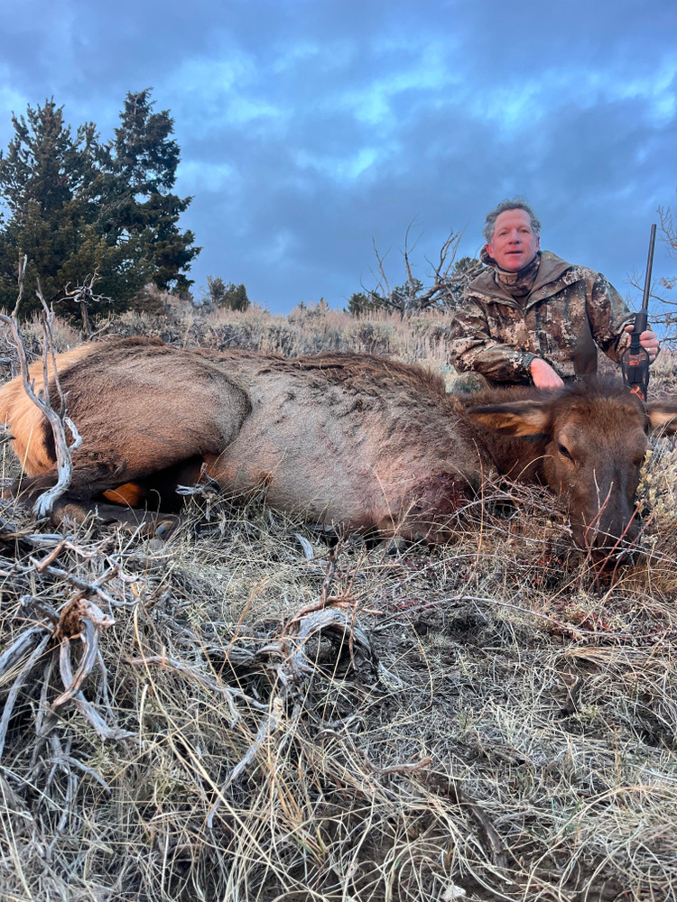 Cow elk licenses are cheaper in WY.