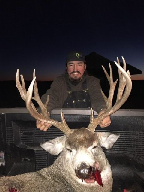 Big mule deer in WY.