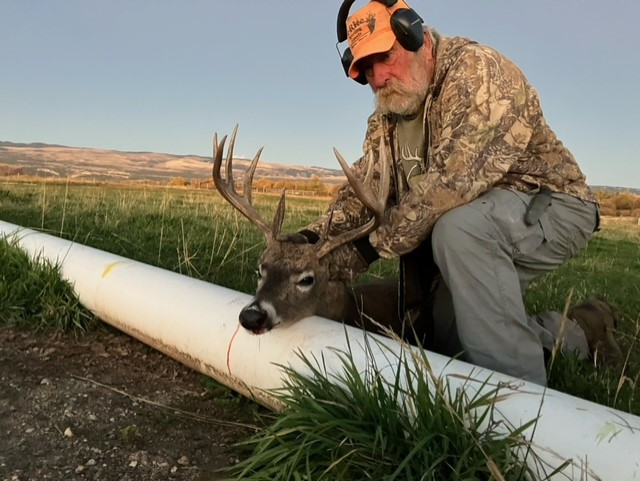 Wyoming has whitetail too.