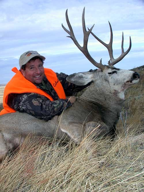 Big mule deer in WY.