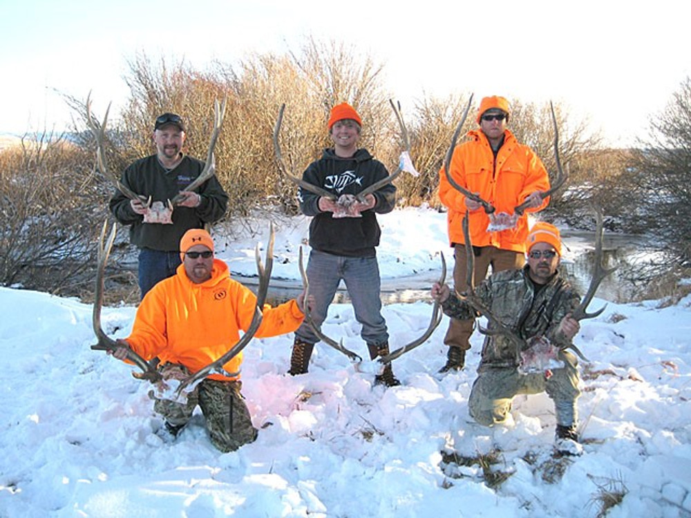Successful hunting group
