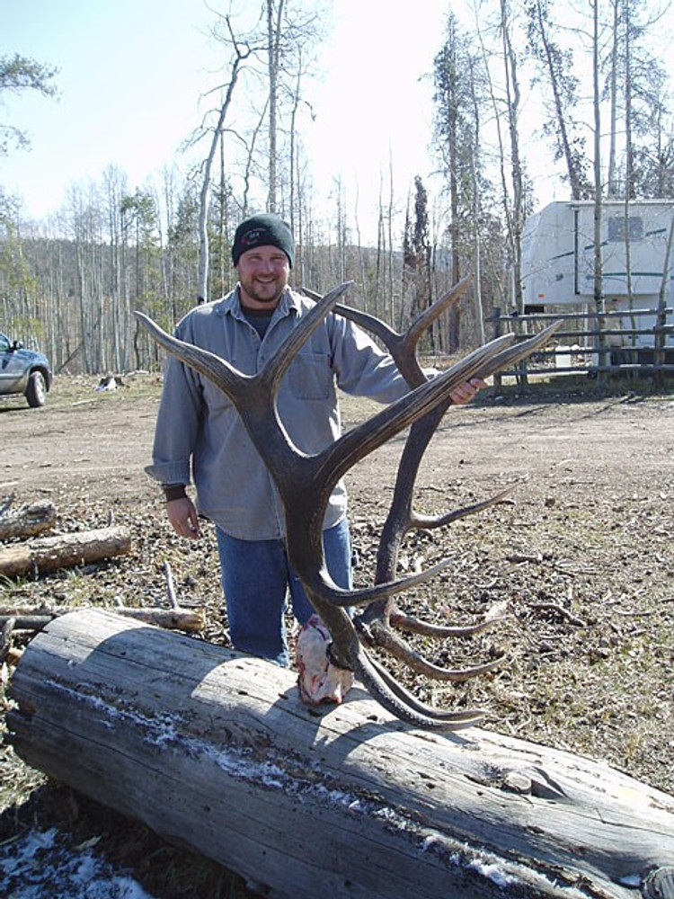 Nice big bull elk.