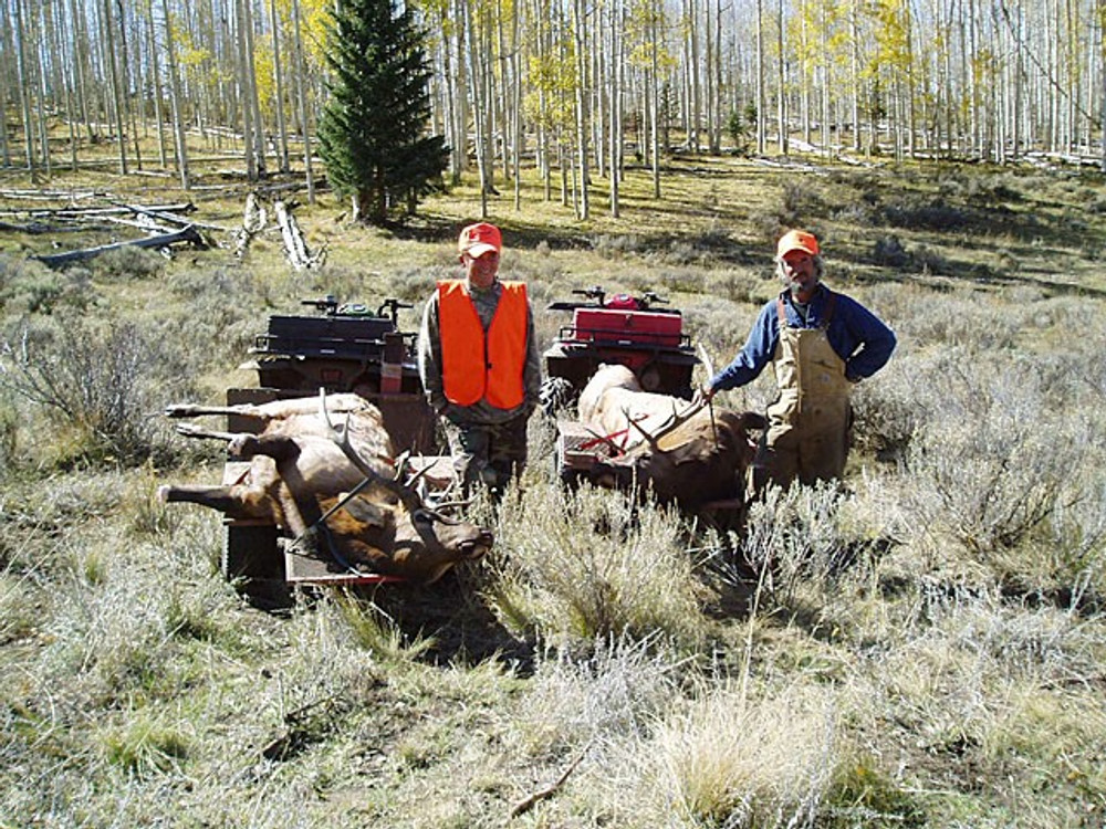 Hunt #5024 DIY/Semi-Guided Elk Private Land