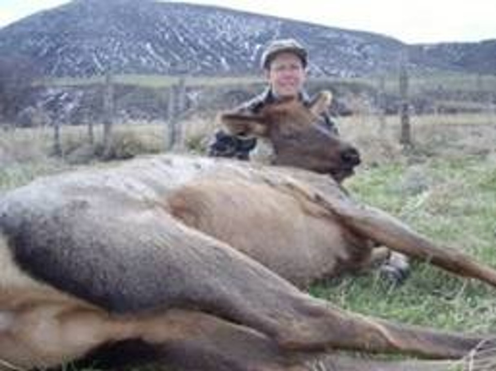 High success cow elk hunt.