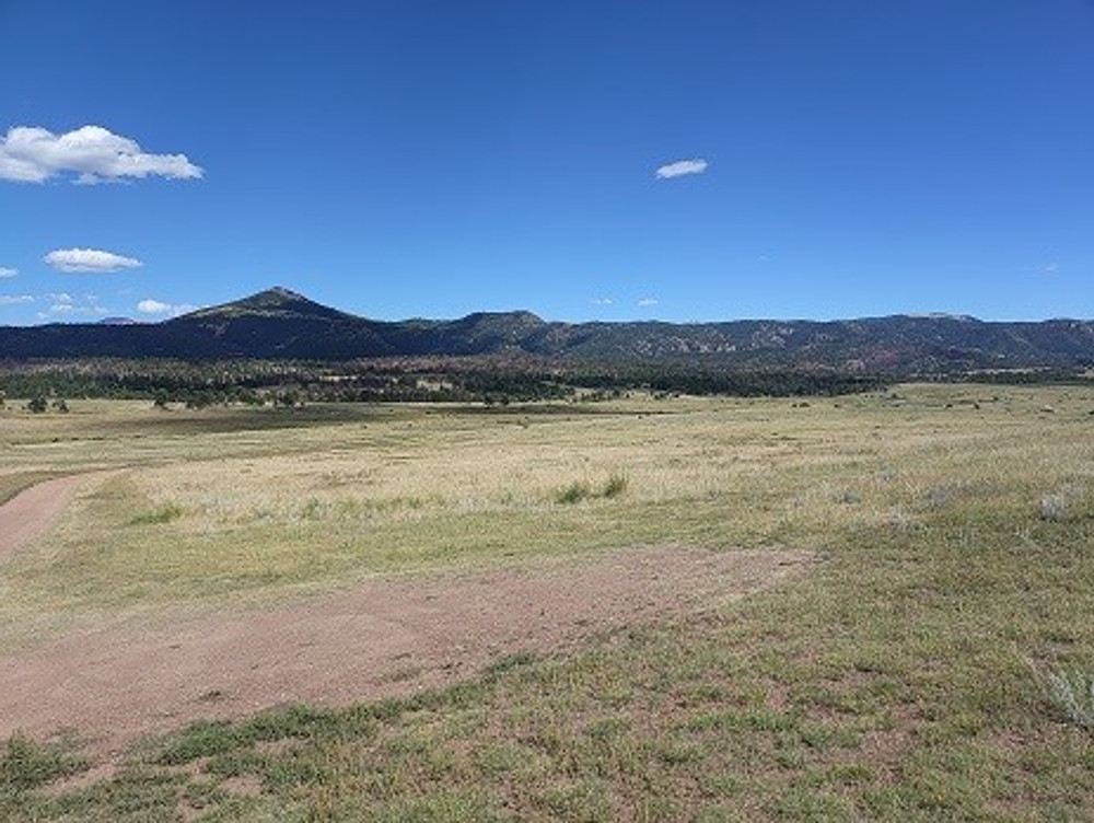 Private land hunting in CO