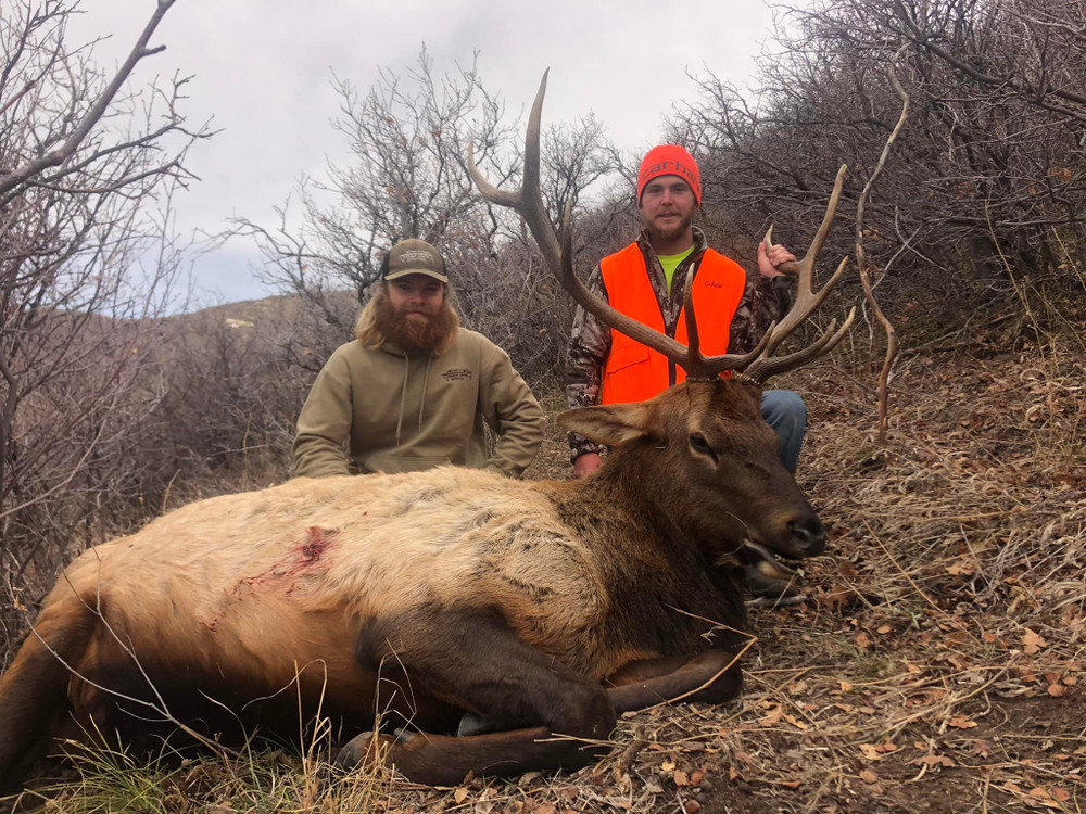 Private land elk hunt.