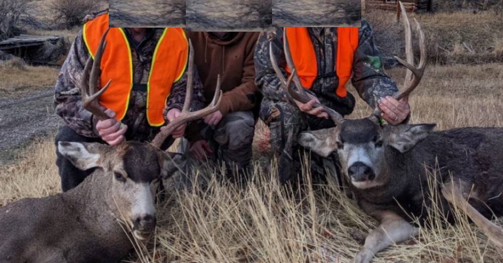 Successful mule deer hunt.