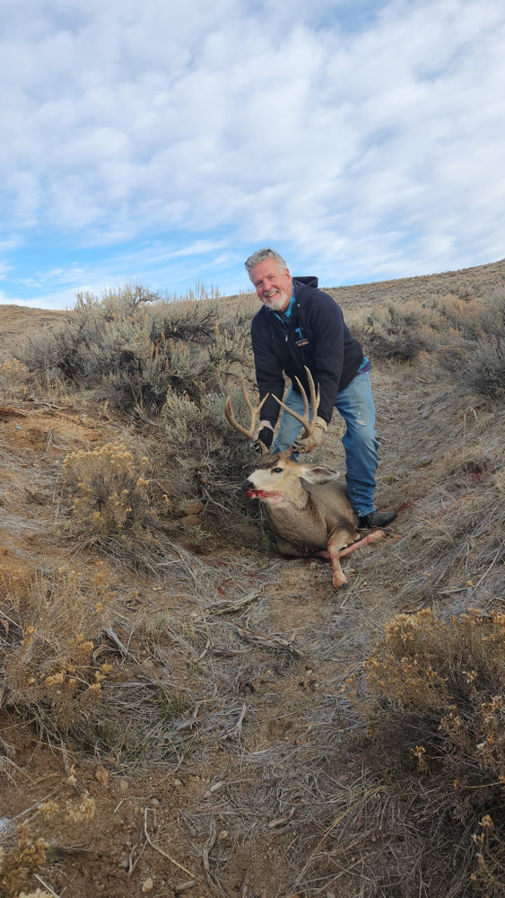 Mule deer hunting in Colorado