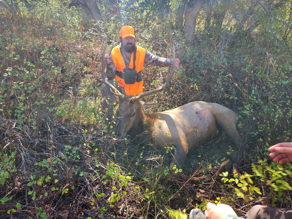 Good successful elk hunts