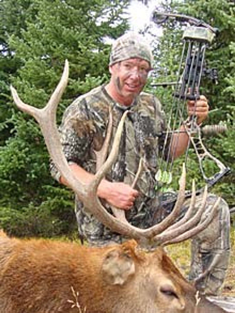 Archery Colorado Elk.