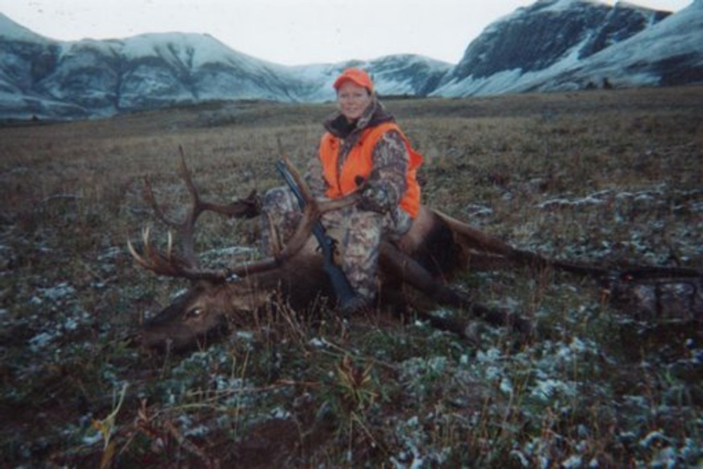 Elk on the ground.