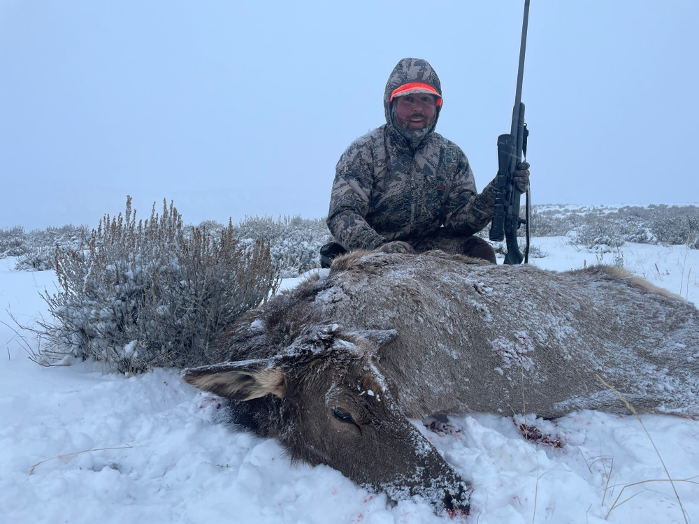 Cow elk hunt in WY.