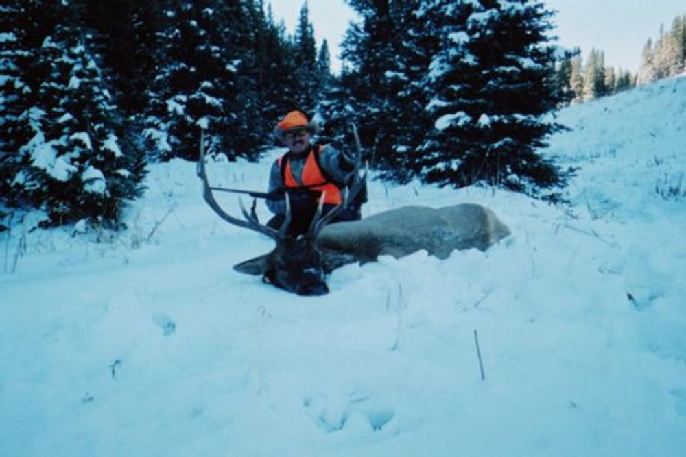 Elk in the snow.