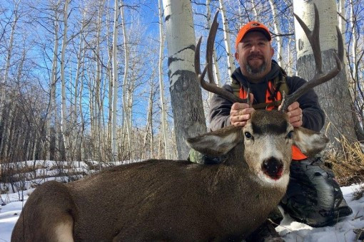 Hunt #5188 DIY Mule Deer/Elk Drop Camp San Juans & Weminuche