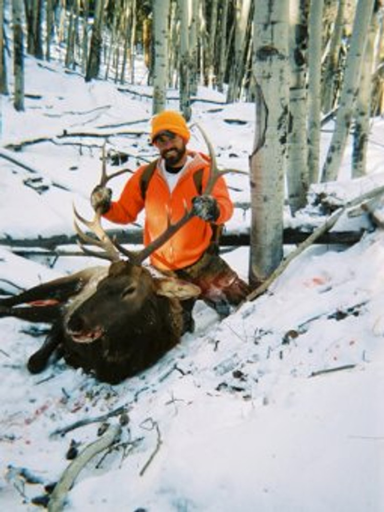 More snow and an elk.