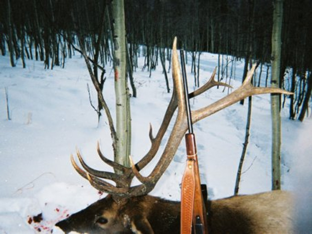 Rifle season elk hunts.