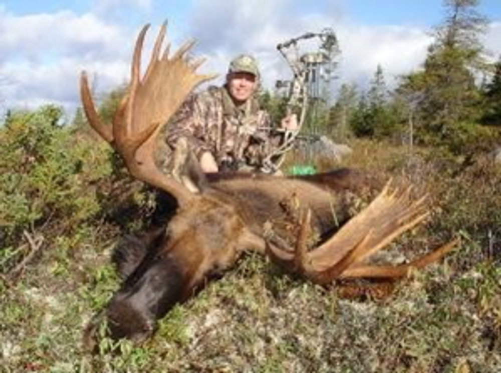 Guided trophy moose hunts Alberta Canada.