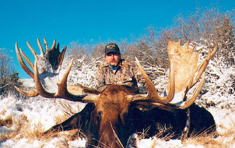 Nice trophy moose in Canada