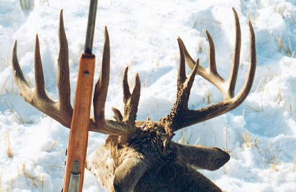 Big brute of a whitetail.