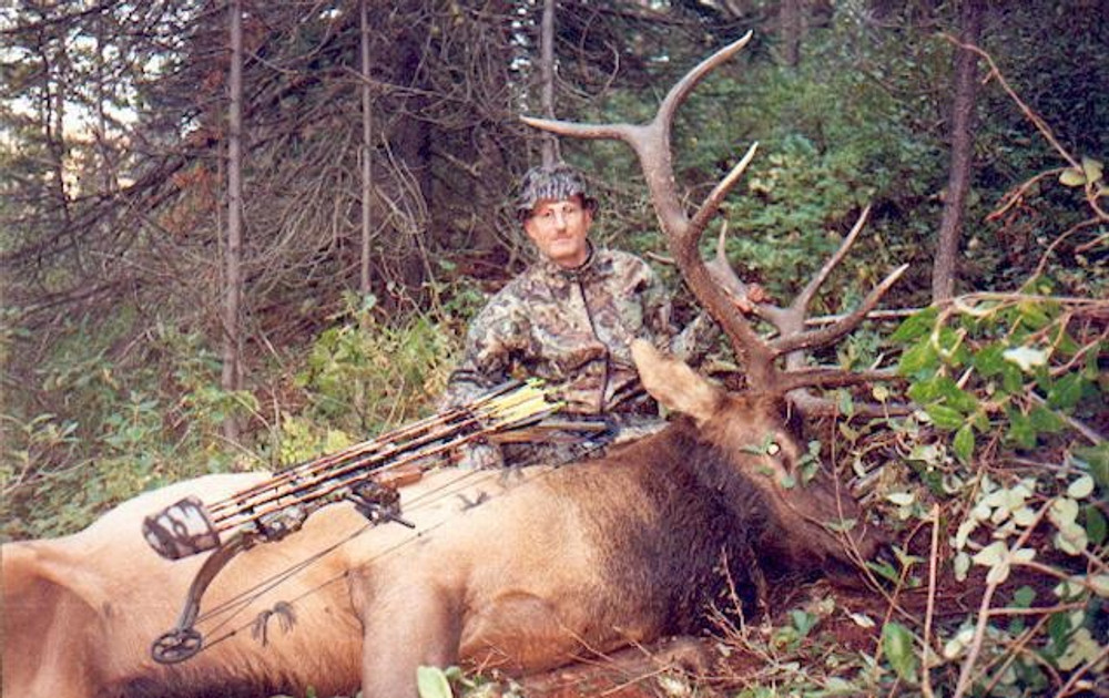 Archery elk hunts in Alberta