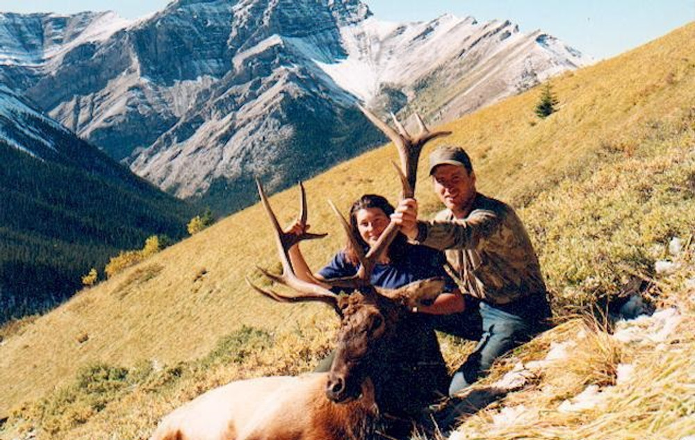 High country elk in Canada