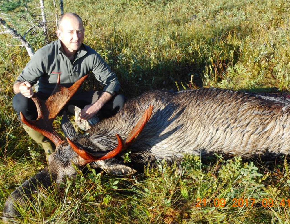 Newfoundland moose hunting.