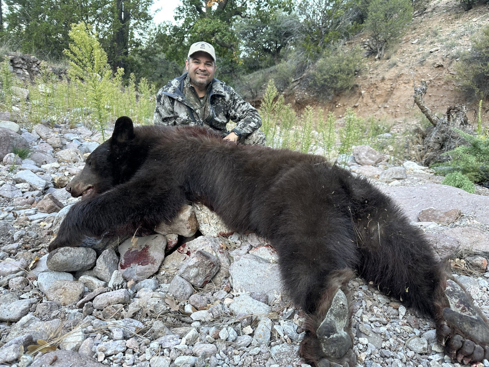 NM black bear hunt.