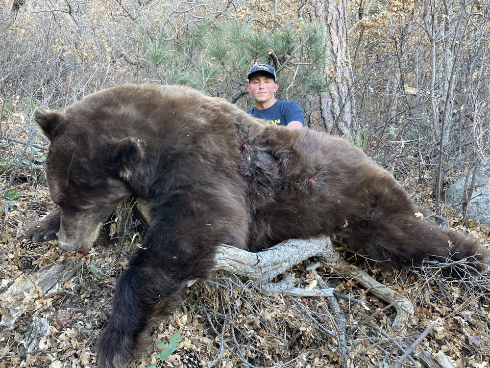 Trophy black bear hunts.