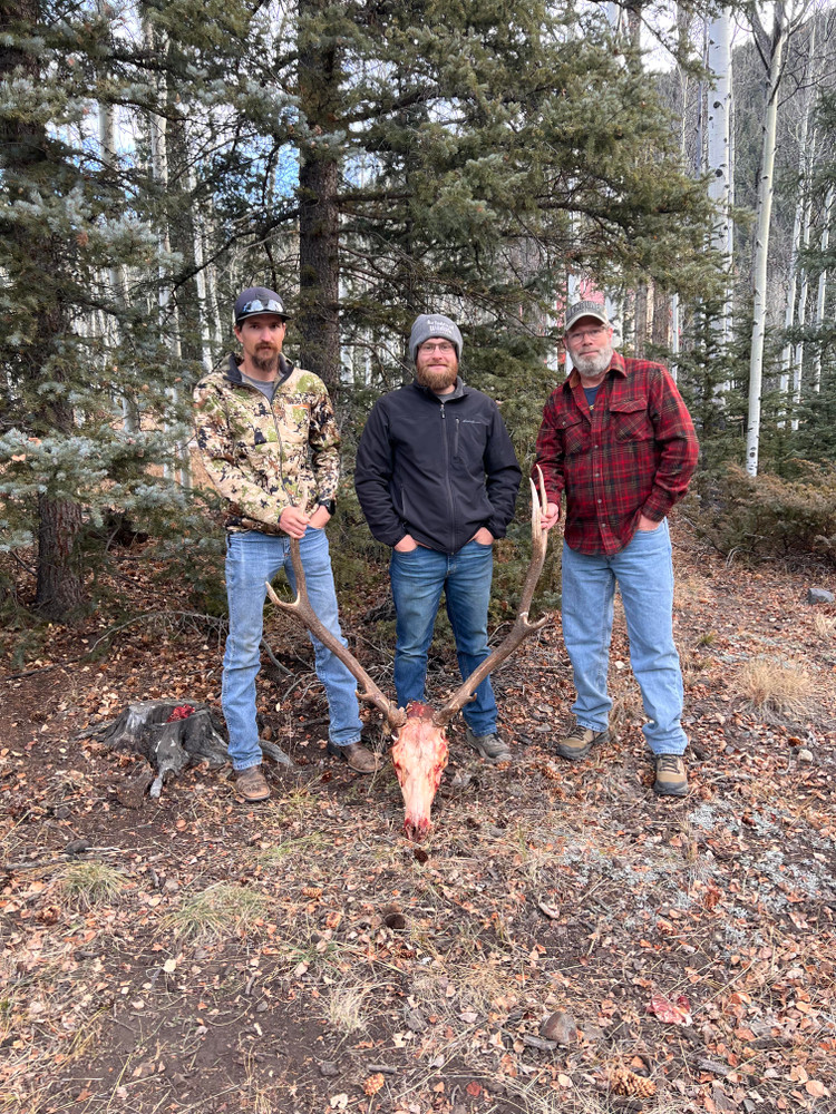 Elk hunts with high success.