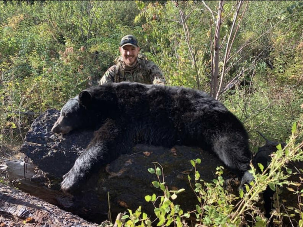 Baited black bear hunts