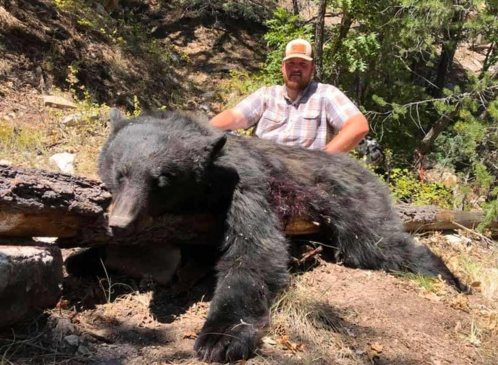 Archery black bear hunts