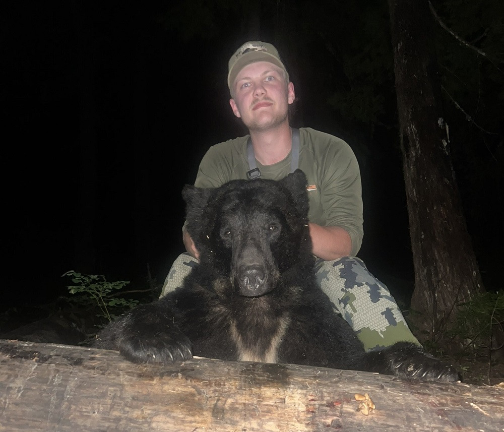 Hunting black bear is a blast.