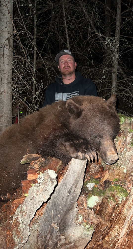Big brute black bear.