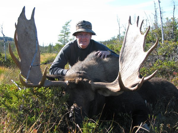 Fully guided moose hunts.