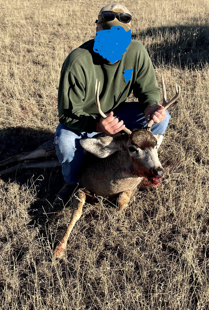 Mule deer plains hunt