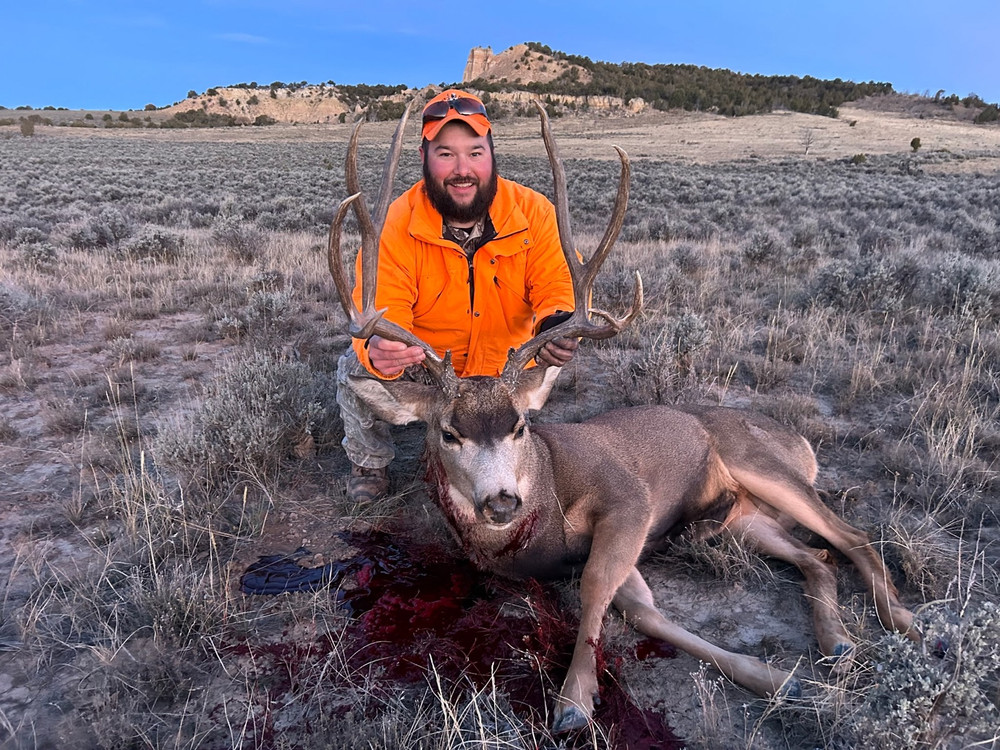 Colorado mule deer hunting
