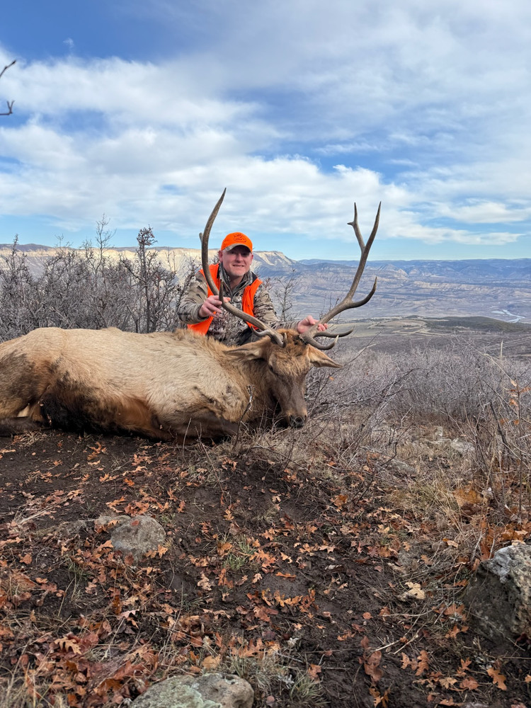 High success DIY hunt