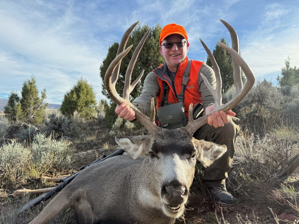 Hunting mule deer in Colorado