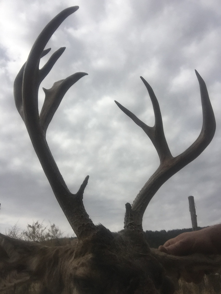 Nice rack.