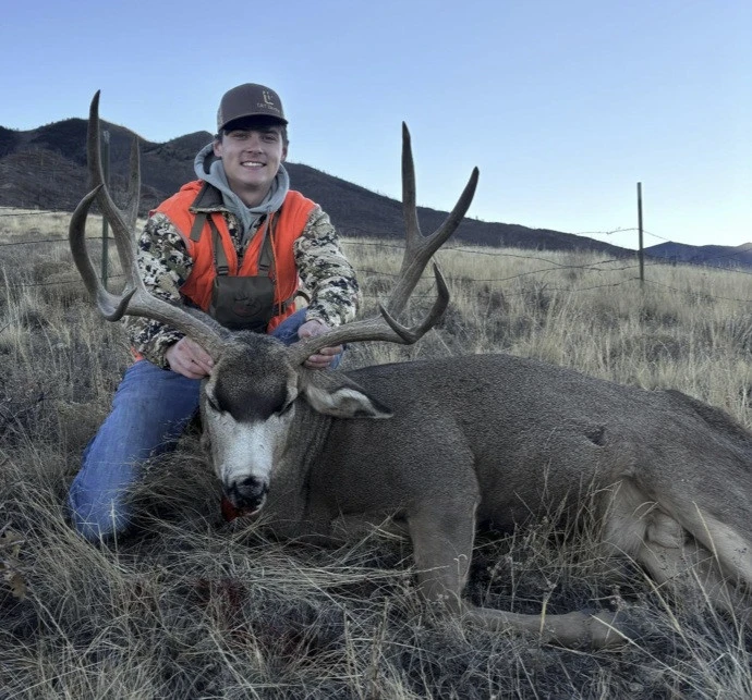 Mule deer trophy