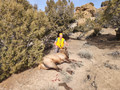 Hunting elk on private land