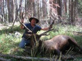 DIY private land elk hunt.