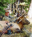 DIY archery elk from a drop camp.
