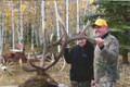 Nice bull elk in Colorado