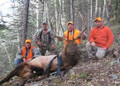 Happy group of hunters with an elk.
