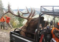 Big 5x5 on ATV drop camp hunt.