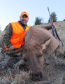 Cow elk is still a trophy and tastes good.