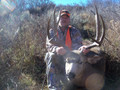 Big muley buck.